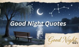Good Night Quotes