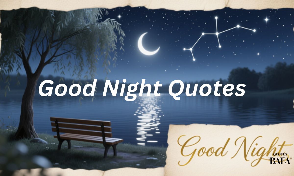 Good Night Quotes
