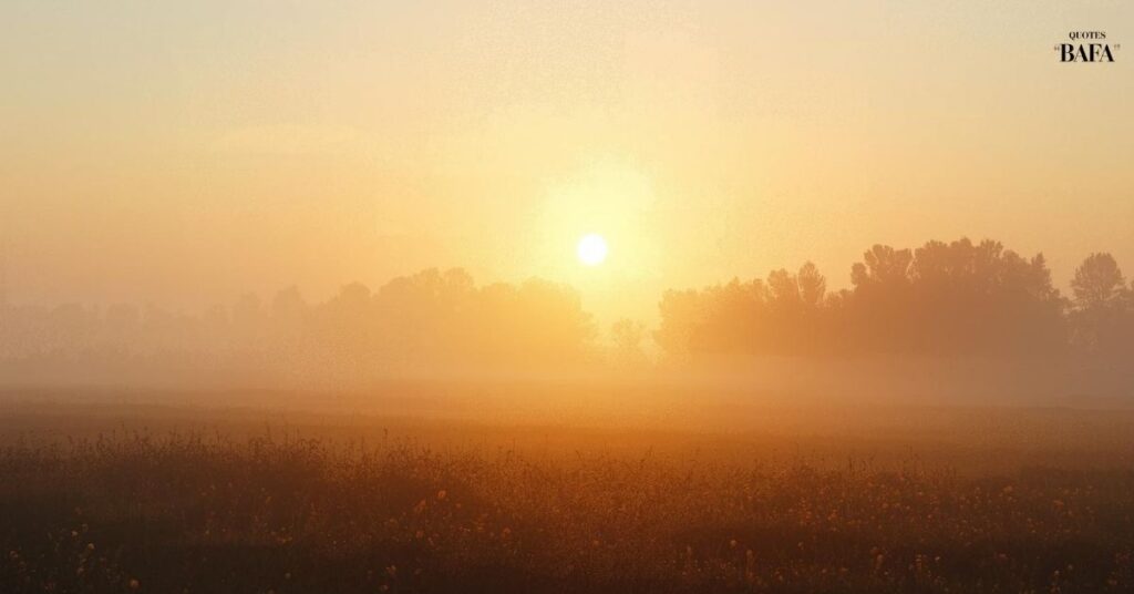 Quotes on Morning Sunrise