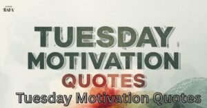 Tuesday Motivation Quotes